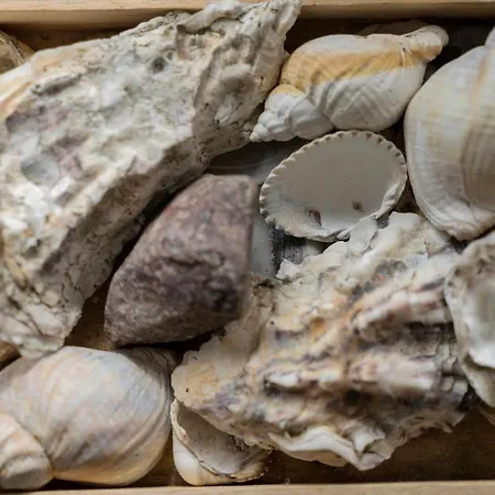 0322-romo-praestekraven-4 *