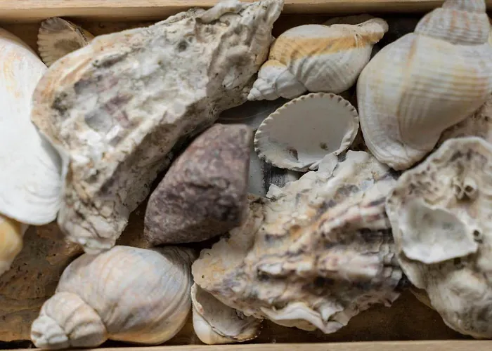 0322-romo-praestekraven-4 Semesterbostad